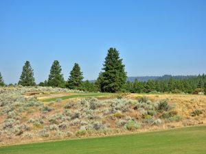 Silvies (Craddock) 4th Tee